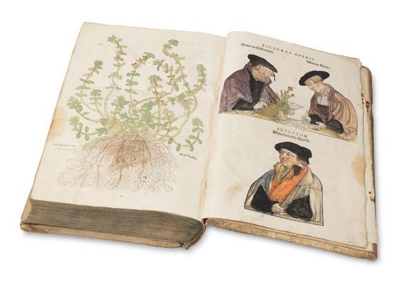 Leonhart Fuchs - De Historia stirpium. 1542. - Autre image