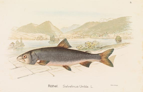   - Schweizerisches Fischkochbuch 1894 - Autre image