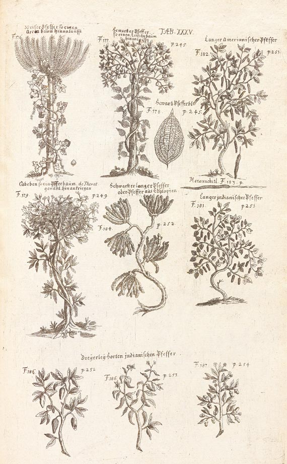 Pierre Pomet - Materialien- u. Naturalien-Magazin, 1727 - Autre image