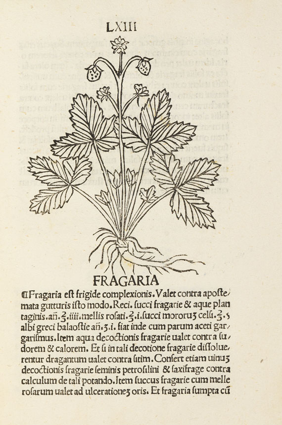   - Herbarium. 1491   17(11) - Autre image