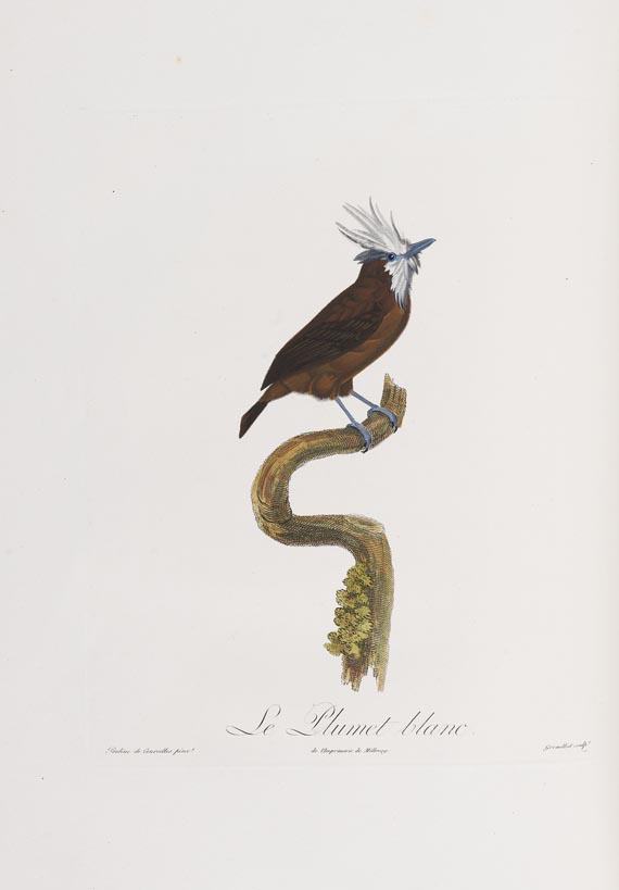 Anselme-Gaetan Desmarest - Histoire naturelle des Tangaras, des Manakins et des Todiers. 1805-07. - Autre image