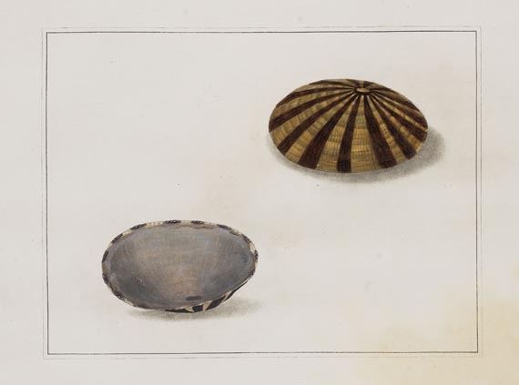 Thomas Martyn - Original watercolours for shells. Um 1784. - Autre image