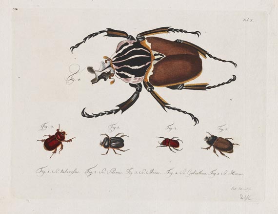 Carl Gustav Jablonsky - Natursystem. Die Käfer. 10 Hefte mit 195 Tafeln. 1785-1806. - Autre image