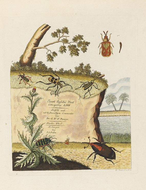 Johann Euseb Voet - Beschreibungen und Abbildungen hartschaalichter Insekten. 5 Bde. 1793-1802. - Autre image