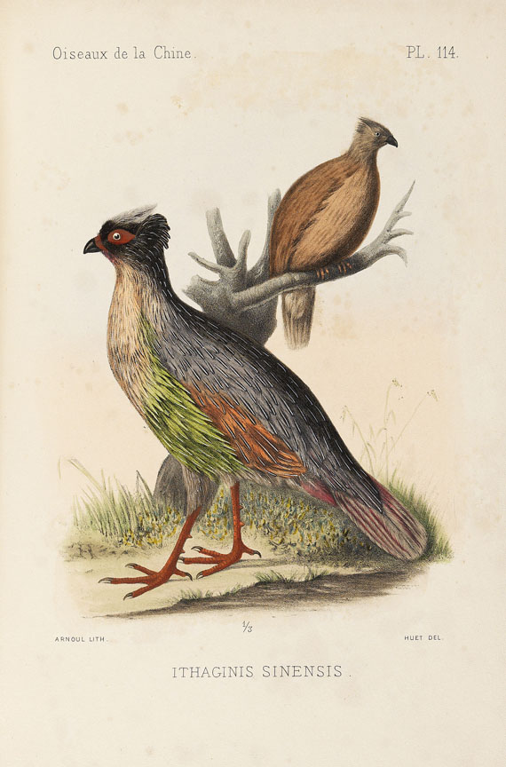 Armand David - Oiseaux de la Chine. 1877.