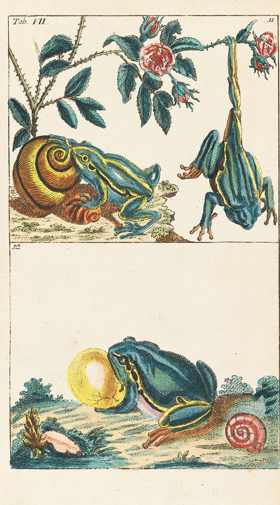 Gottlieb Tobias Wilhelm - Naturgeschichte, 1834. 27 Bde. - Autre image