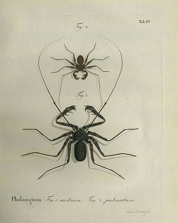 Johann Friedr. Wilh. Herbst - Natursystem der ungeflügelten Insekten. 1797.