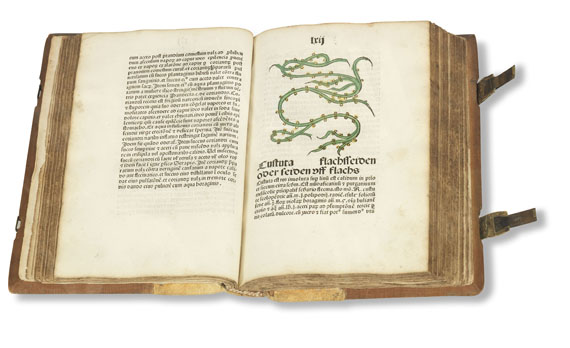   - Herbarius Patavie. 1485. - Autre image