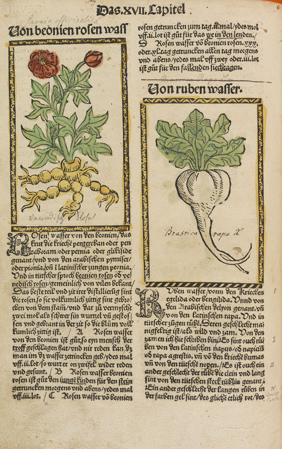 Hieronymus Brunschwig - Liber de arte distillandi. 1500. - Autre image