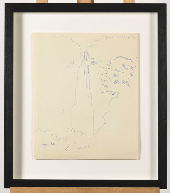 Andy Warhol - Kegon Falls, Japan - Image du cadre