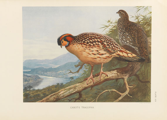 William Beebe - A monograph of the pheasants. 4 Bde. - Autre image