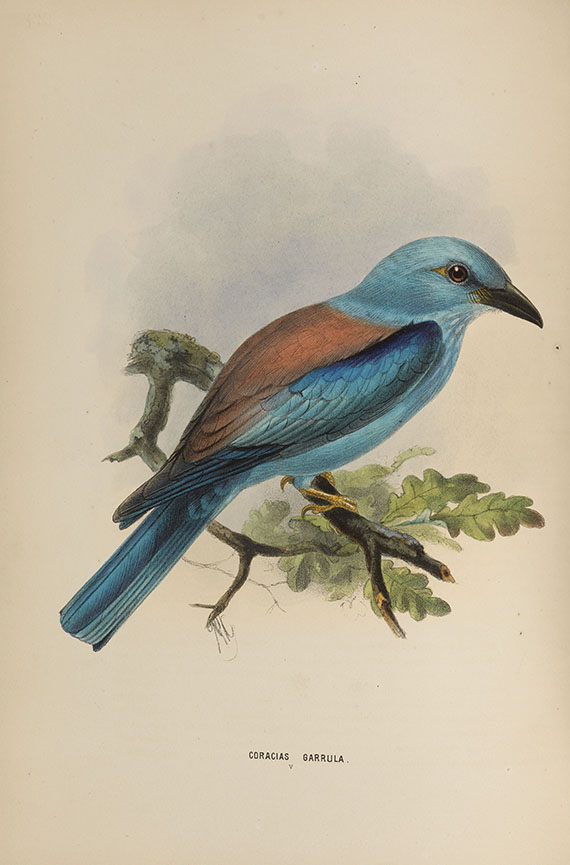 Henry Eeles Dresser - Birds of Europe. 9 Bde. - Autre image