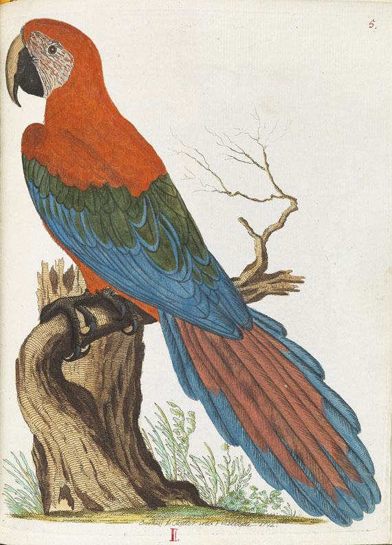 Joachim J. Nepomuk Spalowsky - Beytrag zur Naturgeschichte der Vögel. Bd. I-IV, zus. 4 Bde. - Autre image
