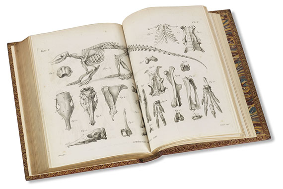 Georges Cuvier - Recherches sur les ossemens fossiles. 7 Bde. - Autre image