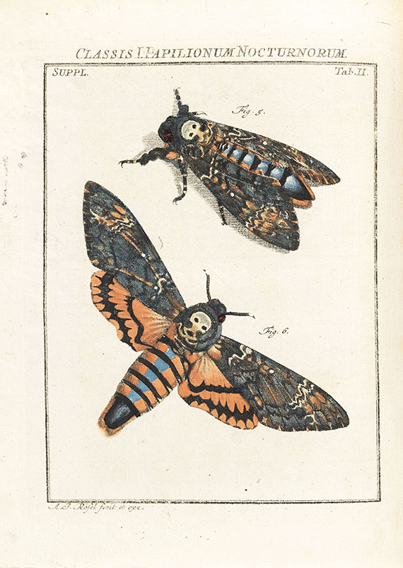 August Johann Rösel von Rosenhof - Insecten-Belustigung, 4 Bde., dazu Kleemann, Beyträge zur Naturgeschichte, 2 Bde. in 1, zusammen 5 Bde. - Autre image
