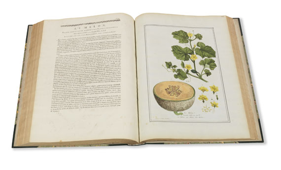 Nicolas Francois Regnault - La botanique mise à la portée. 3 Bände - Autre image