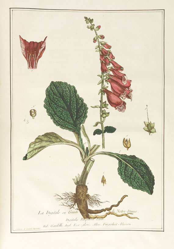Nicolas Francois Regnault - La botanique mise à la portée. 3 Bände - Autre image