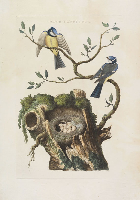 Cornelius Nozeman - Nederlandsche vogelen. 5 Bände, ungebunden in Kassetten