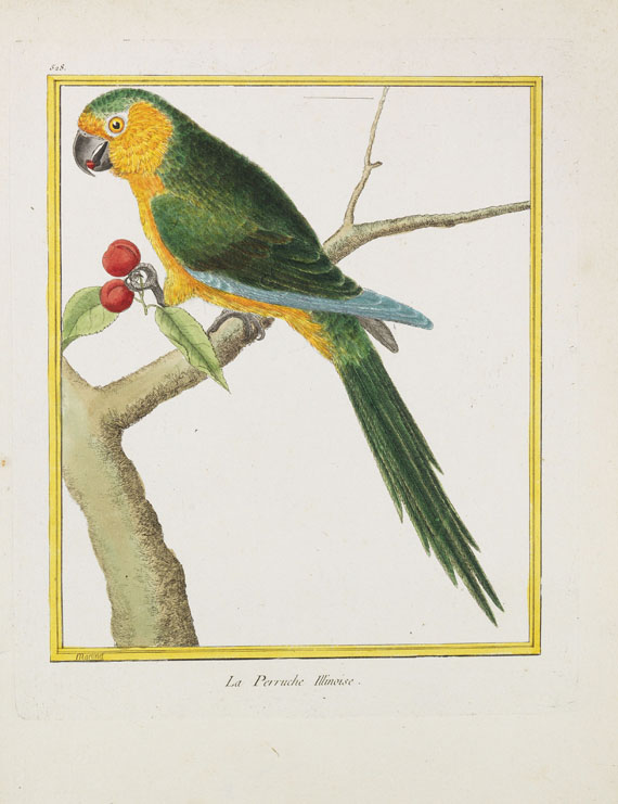 Georges Louis Leclerc Buffon - Histoire naturelle des oiseaux. 3 Kassetten - Autre image
