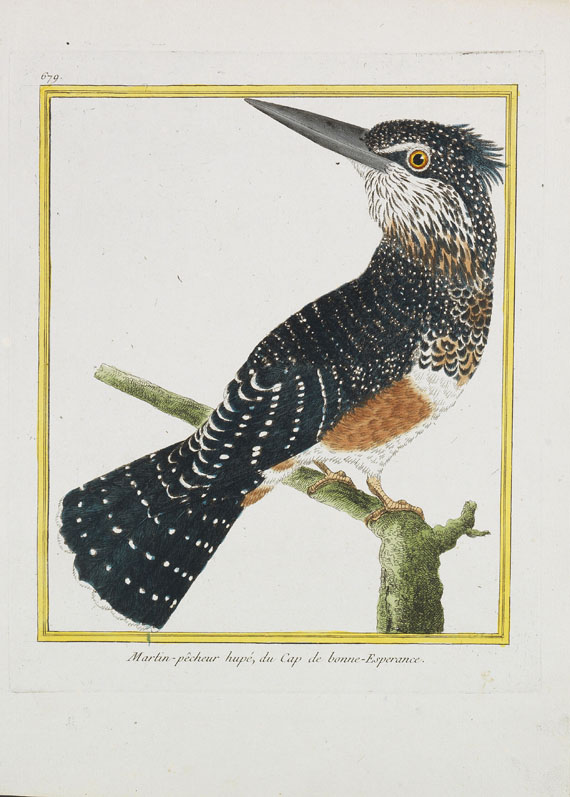 Georges Louis Leclerc Buffon - Histoire naturelle des oiseaux. 3 Kassetten - Autre image