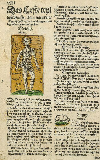 Rösslin, E. - Kreuterbuch, 1536.