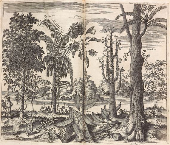 John Nieuhof - A Collection of Voyages and Travels. 1704 - Autre image