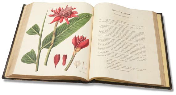 William Roscoe - Monandrian Plants, 1828. - Autre image
