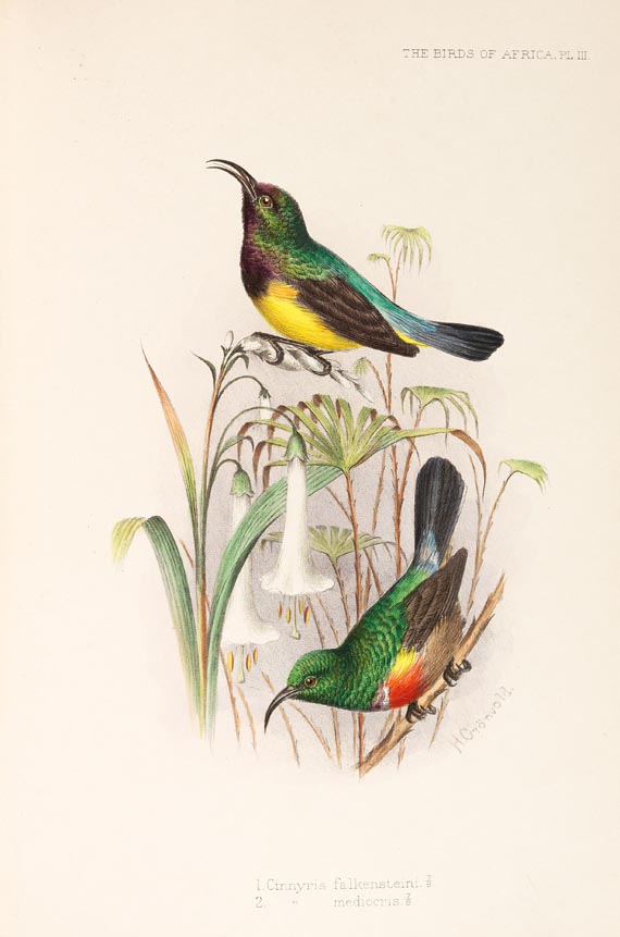 George Ernest Shelley - Birds of Africa, 6 Bde. (1896) - Autre image