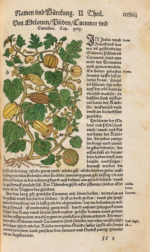 Hieronymus Bock - Kräuter Buch, 1630 - Autre image