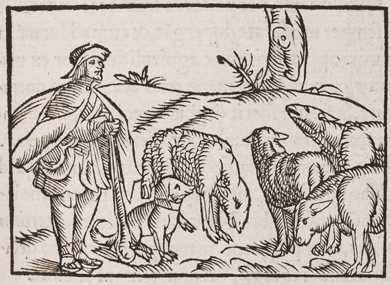 Petrus de Crescenzi - De omnibus agriculturae (1548) - Autre image