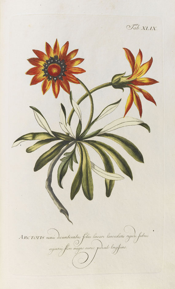 Philipp Miller - Abbildungen zum Gärtnerlexicon. 1768-82. 2 Bde. - Autre image
