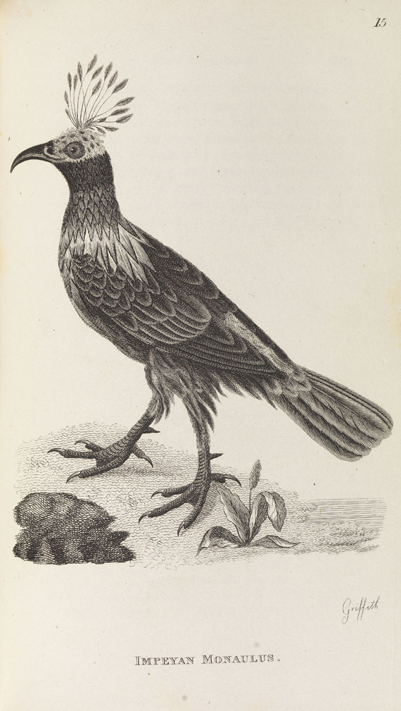 George Shaw - General zoology. 1800-26. 28 Bde.- Dabei: Zoological lectures. 1809. 2 Bde. - Autre image