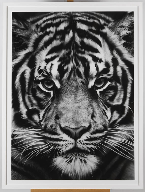 Robert Longo - Tiger - Image du cadre