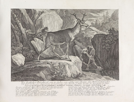 Johann Elias Ridinger - Betrachtung der wilden Thiere. 1736 - Autre image