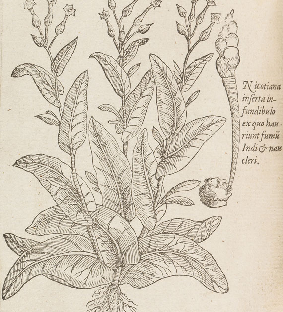 Matthias de Lobel - Plantarum seu stirpium historia. 2 Tle. in 1 Bde. 1576 - Autre image