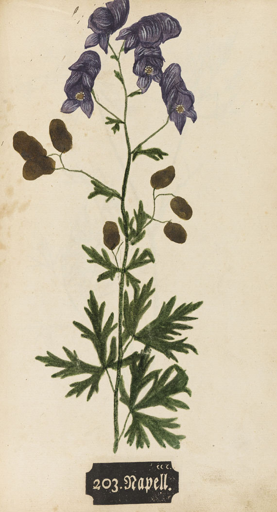   - Kniphof, J. H., Botanica in originali pharmaceutica. 1733. - Autre image