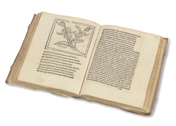 Floridus Macer - (d. i. Odo von Meung), De viribus herbarum. - Autre image