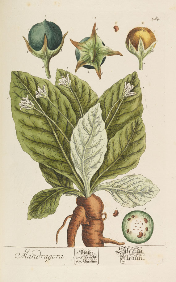 Elisabeth Blackwell - Herbarium selectum. Bd. 3 und 4 in 1 Bd. - Autre image
