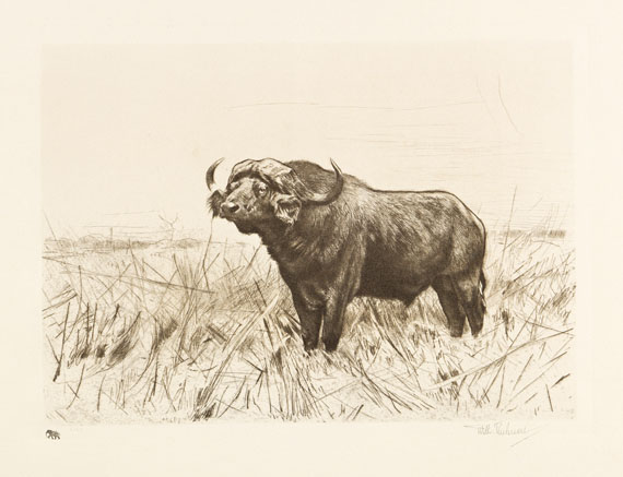 Wilhelm Kuhnert - 3 Bll.: Ruhende Löwen. Afrikanisches Nashorn. Elch - Autre image