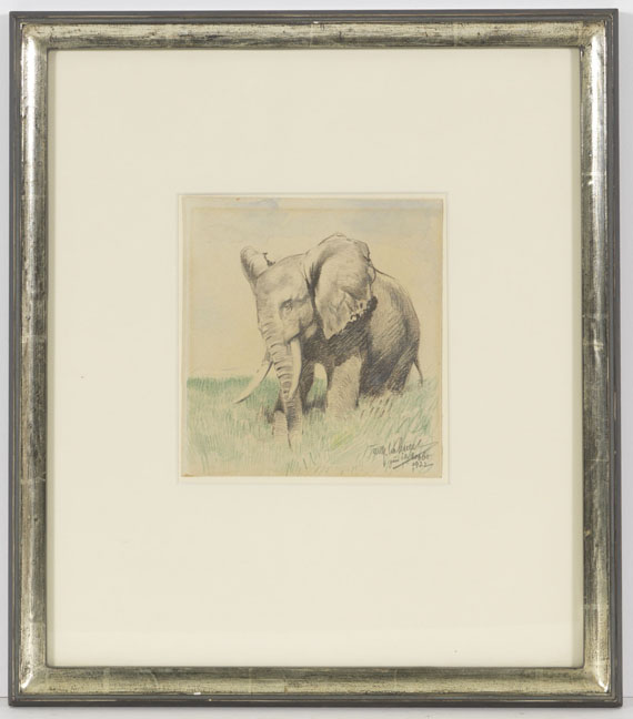 Wilhelm Kuhnert - Afrikanischer Elefant in der Steppe - Image du cadre