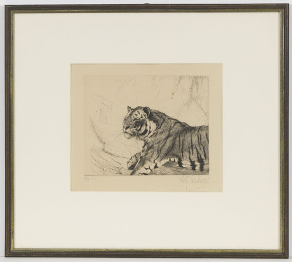 Wilhelm Kuhnert - 4 Bll: Indischer Elefant. Tiger. Löwen. Löwe sitzend - Image du cadre