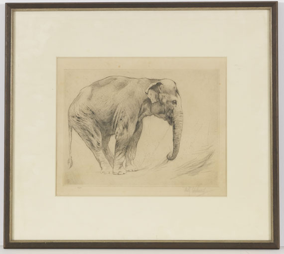 Wilhelm Kuhnert - 4 Bll: Indischer Elefant. Tiger. Löwen. Löwe sitzend - Image du cadre