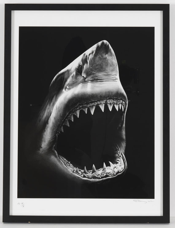 Robert Longo - Shark 5 - Image du cadre