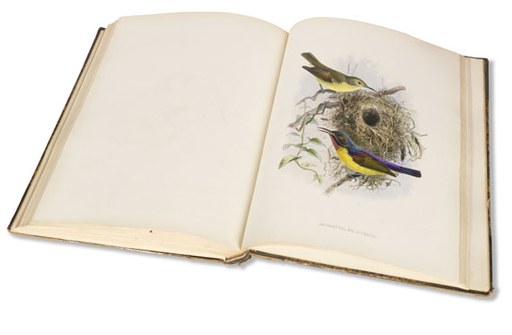 George Ernest Shelley - A monograph of the Nectariniidae, or sun birds. 1876. - Autre image