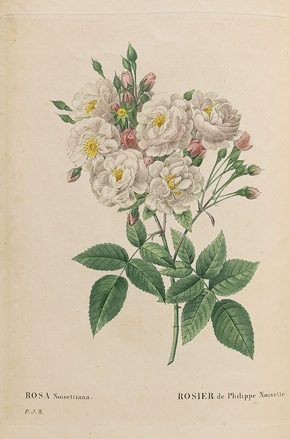 Pierre Joseph Redouté - Les roses. 3 in 2 Bänden
