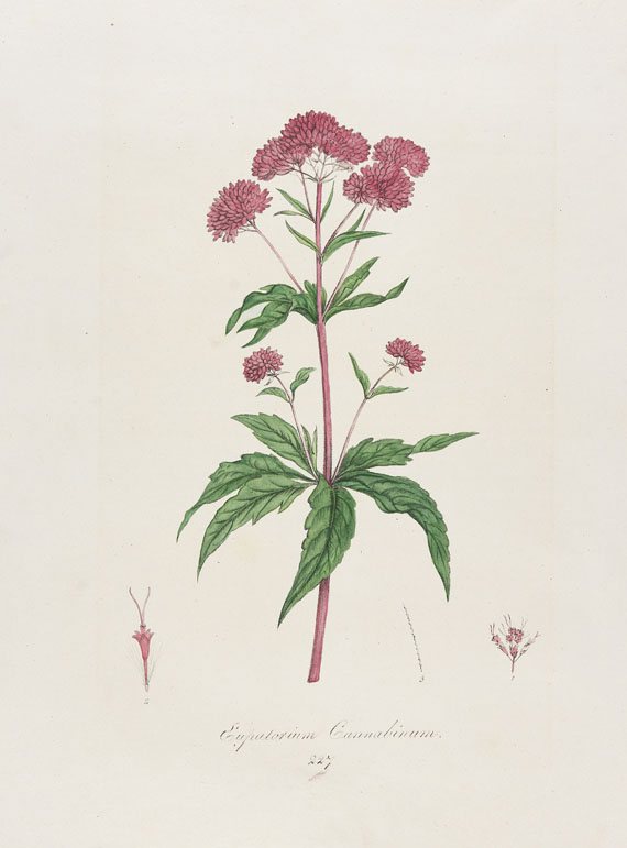 Franz de Paula von Schrank - Flora Monacensis. Bände 2-4 in 3 Bänden