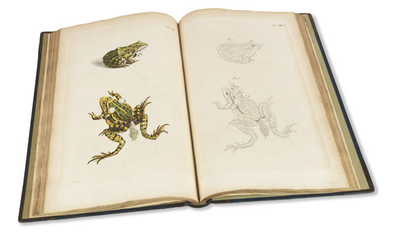 Augustin Johann Rösel von Rosenhof - Historia naturalis ranarum nostratium - Autre image