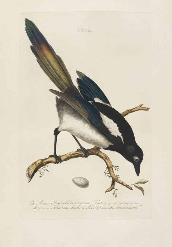 Cornelius Nozeman - Nederlandsche vogelen. 5 Bände, ungebunden in Kassetten - Autre image