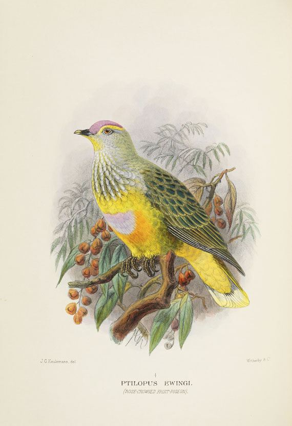 Gregory McAlister Mathews - Birds of Australia. 12 Bände - Autre image