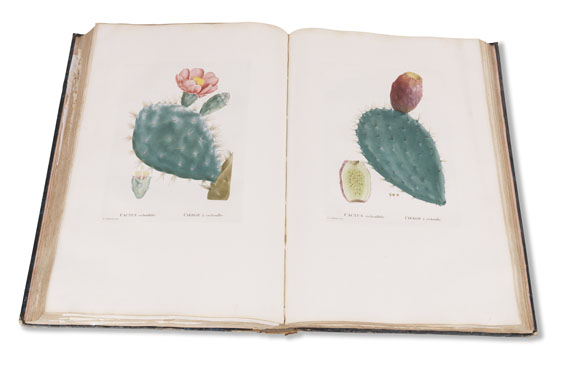 Augustin-Pyrame de Candolle - Plantarum historia. 2 Bände - Autre image